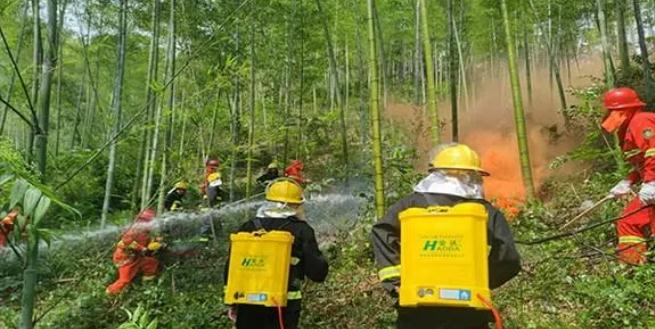 桃江縣松木塘鎮(zhèn)開展森林火災撲救應急演練